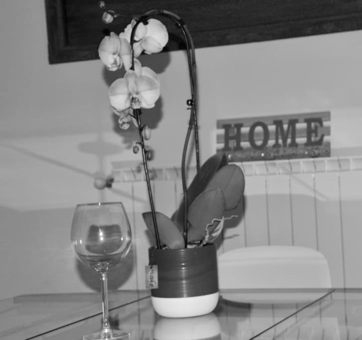 Brand New Apartment フィレンツェ エクステリア 写真